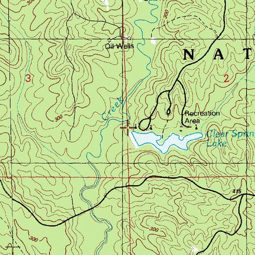 Topographic Map of Clear Springs Dam, MS