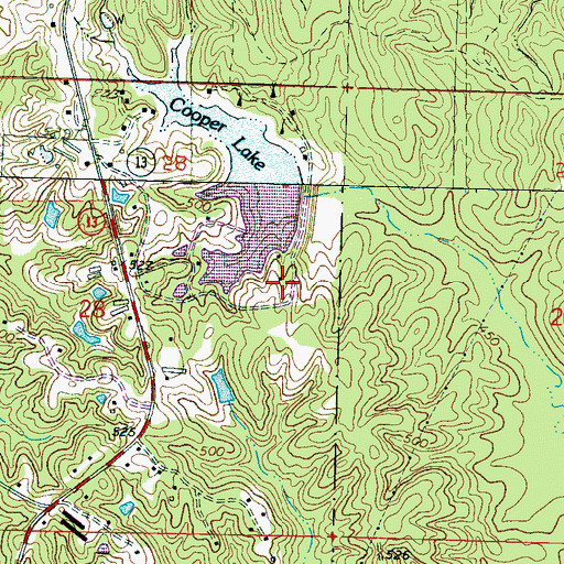 Topographic Map of S Cooper Lake Dam, MS