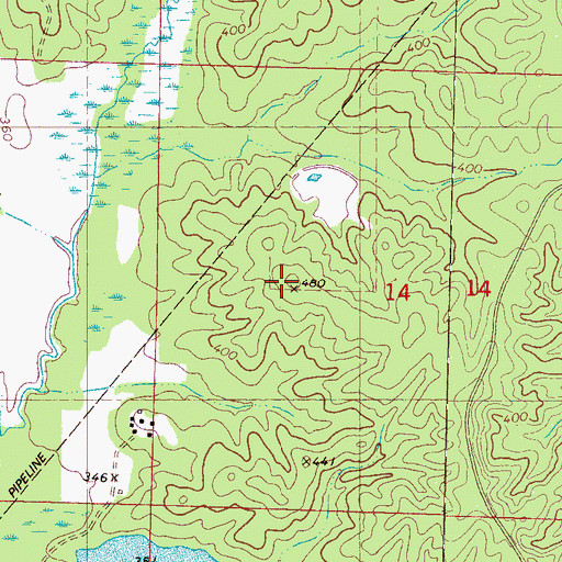 Topographic Map of Bill Chapman Dam, MS