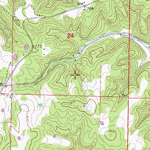 Topographic Map of Township of North Fork, AR