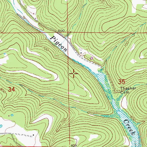 Topographic Map of Township of Pigeon, AR