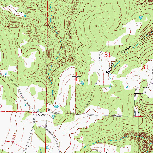 Topographic Map of Township of Summit, AR