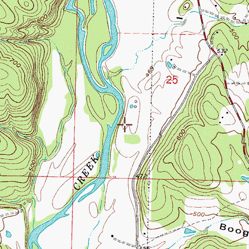 Topographic Map of Township of Martin, AR