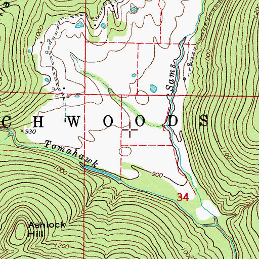 Topographic Map of Township of Richwoods, AR