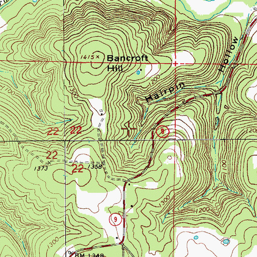 Topographic Map of Township of Turkey Creek, AR