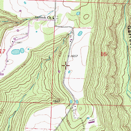 Topographic Map of Township of Boston, AR