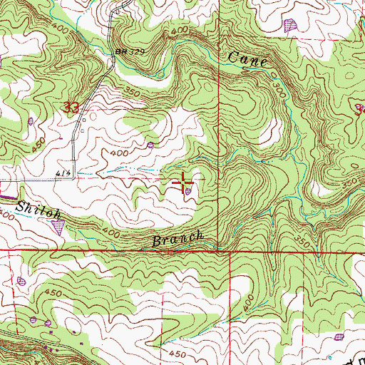 Topographic Map of Township of Cane, AR
