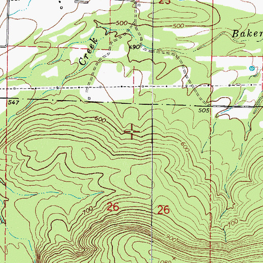 Topographic Map of Township of Richland, AR