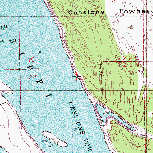 Topographic Map of Cessions Towhead Revetment, AR