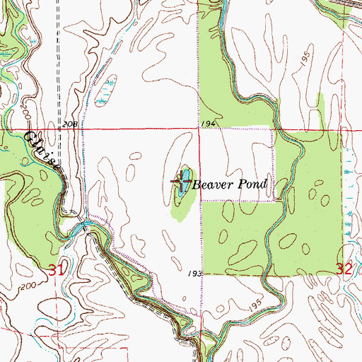 Topographic Map of Beaver Pond, AR