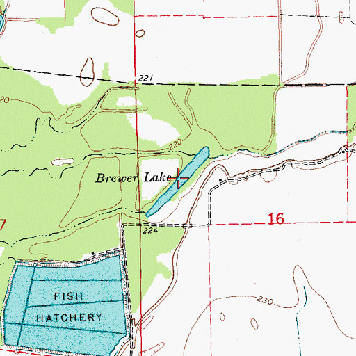 Topographic Map of Brewer Lake, AR