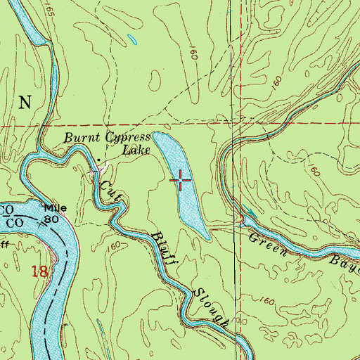 Topographic Map of Burnt Cypress Lake, AR
