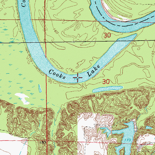 Topographic Map of Cooks Lake, AR
