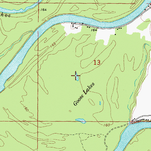 Topographic Map of Goose Lakes, AR