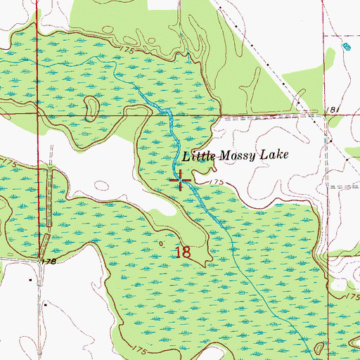Topographic Map of Little Mossy Lake, AR