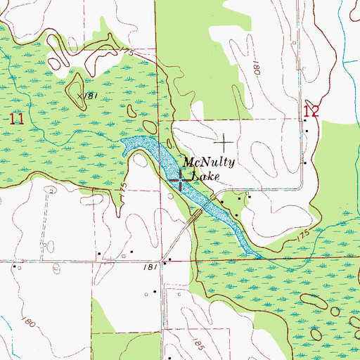 Topographic Map of McNulty Lake, AR