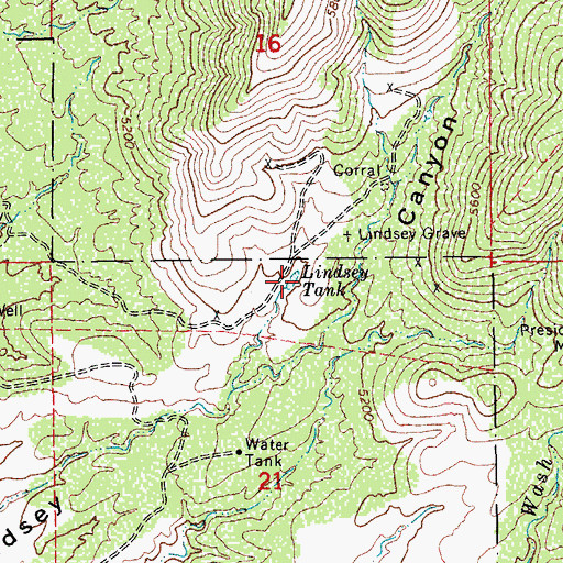 Topographic Map of Lindsey Tank, AZ