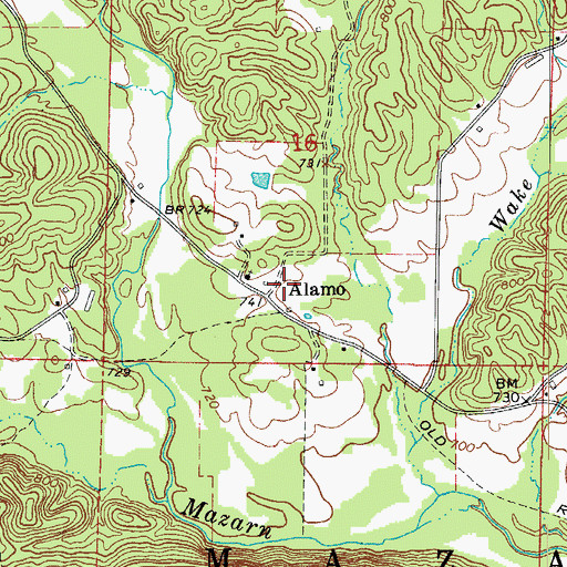 Topographic Map of Alamo, AR
