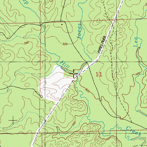 Topographic Map of Jones Branch, MS