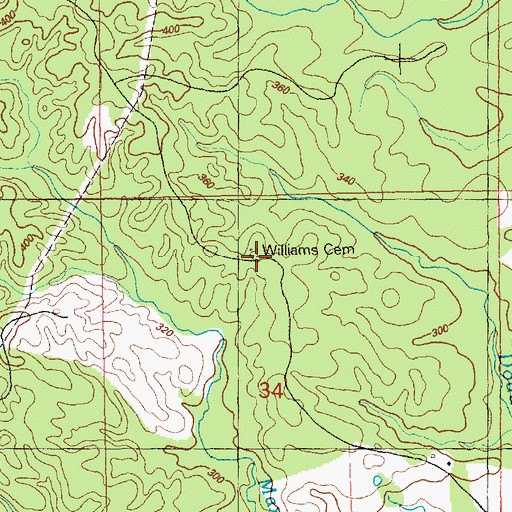 Topographic Map of Williams Cemetery, MS
