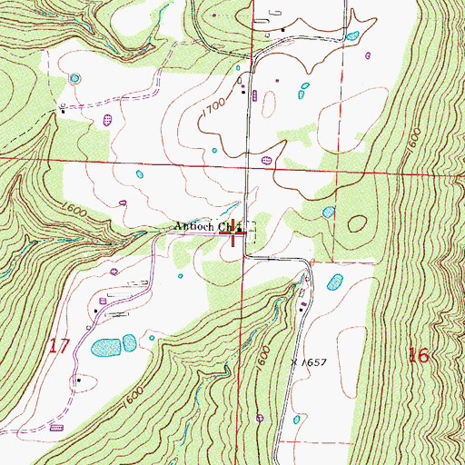Topographic Map of Antioch Church, AR