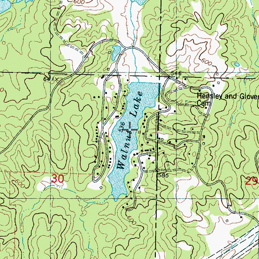 Topographic Map of Walnut Lake, MS