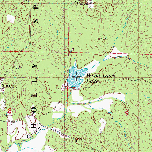 Topographic Map of Wood Duck Lake, MS