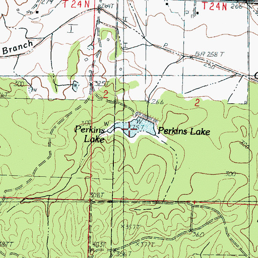 Topographic Map of Perkins Lake, MS