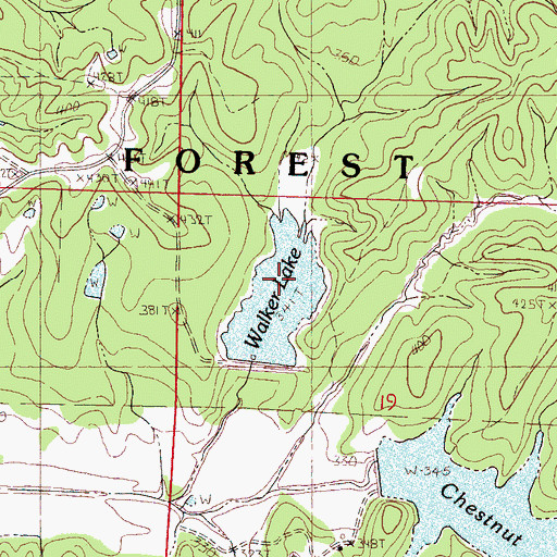 Topographic Map of Walker Lake, MS