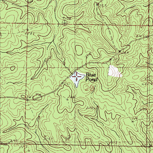 Topographic Map of Blue Pond, MS