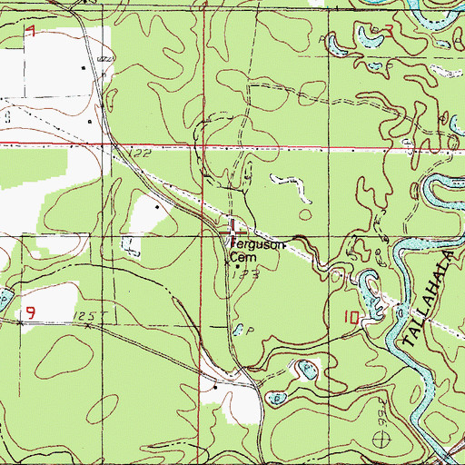 Topographic Map of Ferguson Cemetery, MS