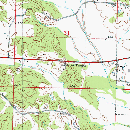 Topographic Map of Christ Temple, MS