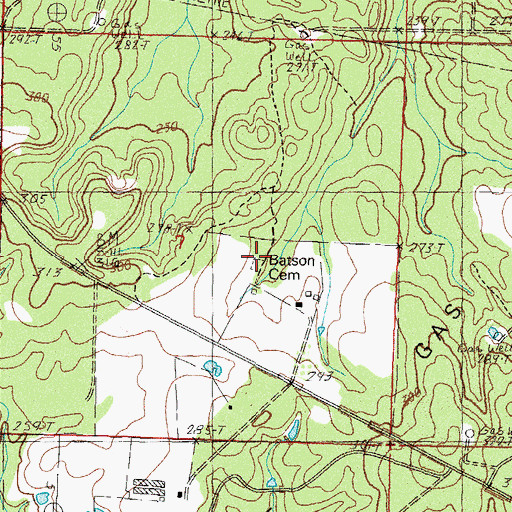 Topographic Map of Batson Cemetery, MS