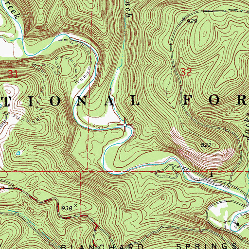 Topographic Map of Bad Branch, AR