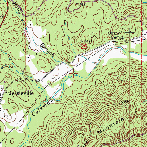 Topographic Map of Baily Branch, AR