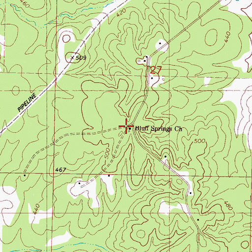 Topographic Map of Bluff Springs Church, MS