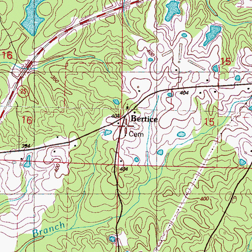 Topographic Map of Bertice, MS
