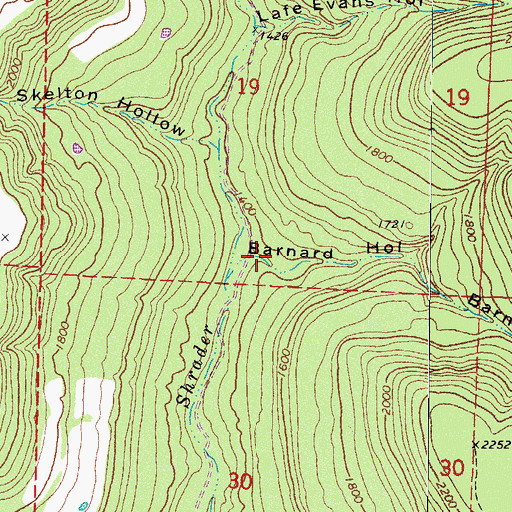 Topographic Map of Barnard Hollow, AR