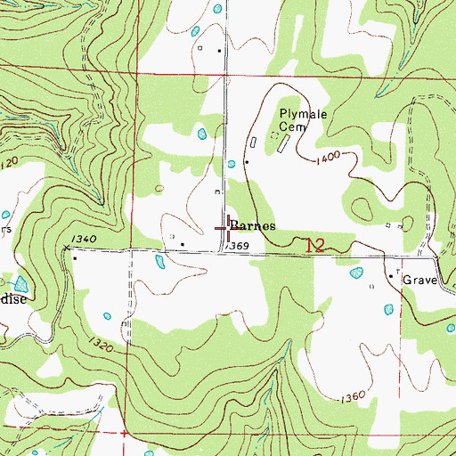 Topographic Map of Barnes, AR