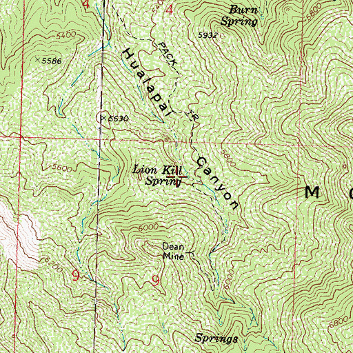 Topographic Map of Lion Kill Spring, AZ