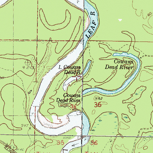 Topographic Map of Little Cowans Dead River, MS