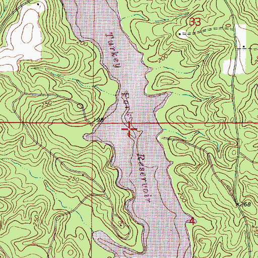 Topographic Map of Turkey Fork Reservoir, MS