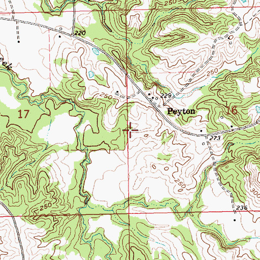 Topographic Map of Pine Ridge School (historical), MS