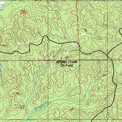 Topographic Map of Whites Creek Oil Field, MS