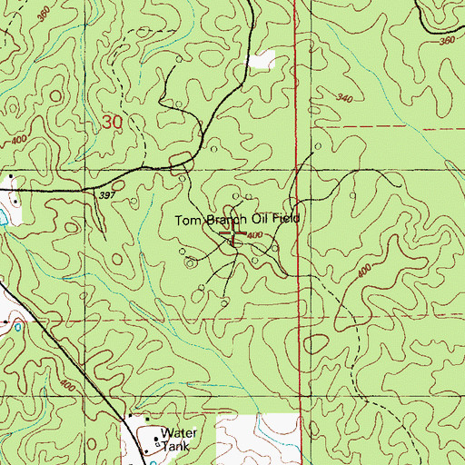 Topographic Map of Tom Branch Oil Field, MS