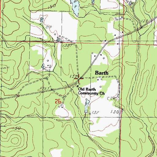 Topographic Map of Barth, MS
