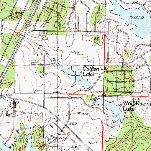 Topographic Map of Catfish Lake, MS