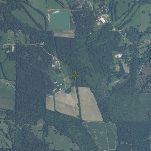 Aerial/Satellite Image of Bray Creek, MS