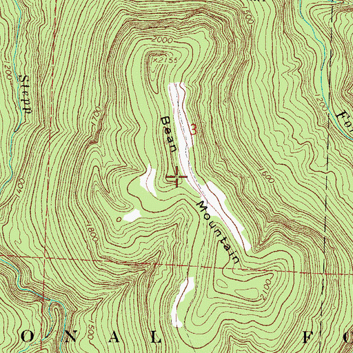 Topographic Map of Bean Mountain, AR