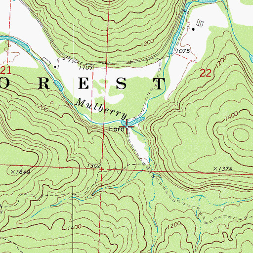 Topographic Map of Bear Branch, AR